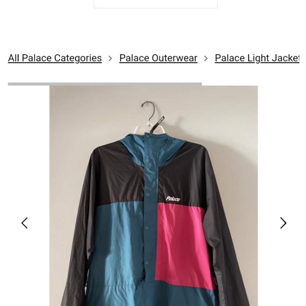 Palace Truss PackerJacket